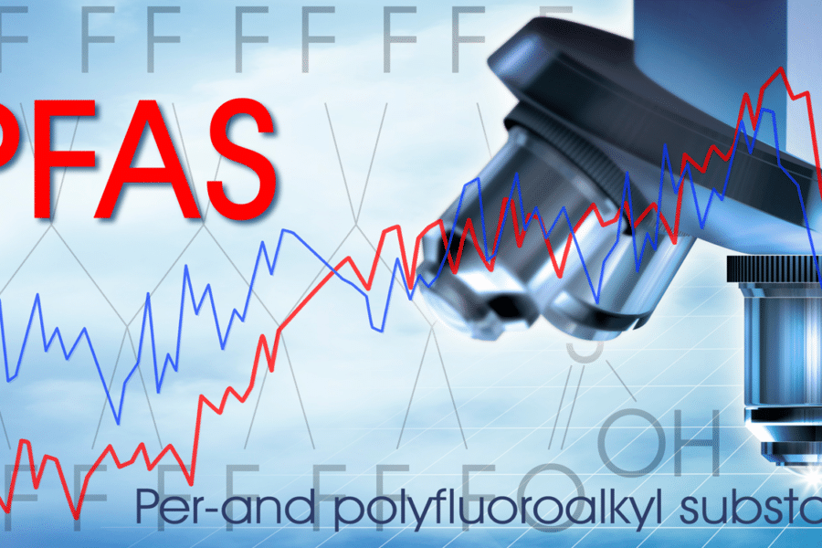 This is the image alt