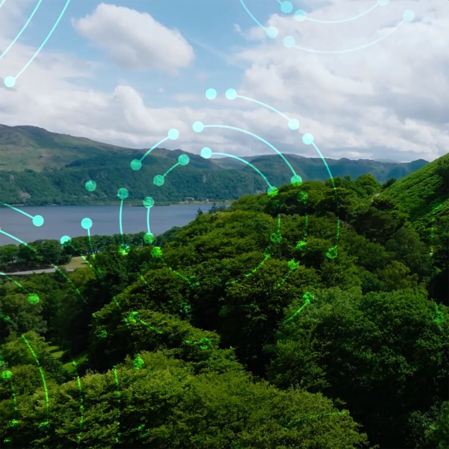 Our innovative sustainability solutions help businesses achieve eco-friendly practices, social responsibility, & transparency.