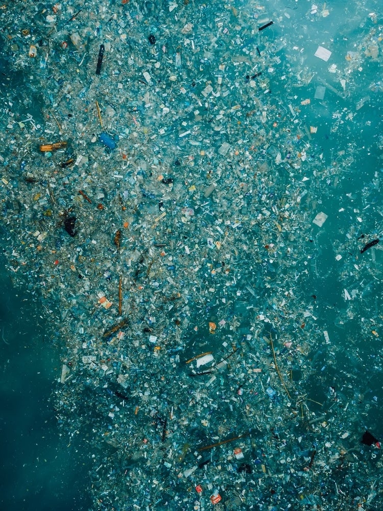 Microplastics are a particularly pernicious form of environmental plastic pollution.
