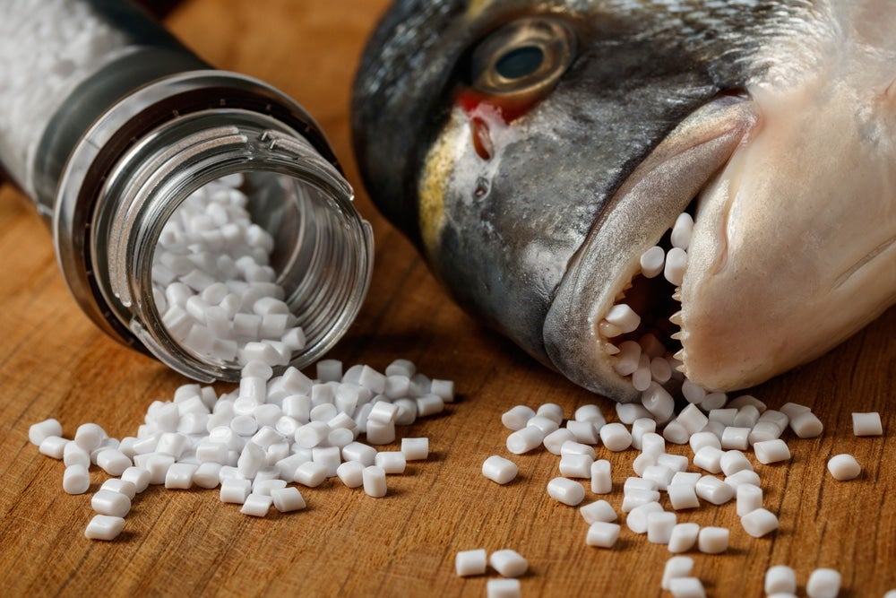  Advocates are praising a provisional EU agreement on a new regulation to prevent plastic pellet losses to the environment, aiming to reduce losses by up to 74%. The regulation introduces mandatory reporting, audits, and supply chain obligations for both EU and non-EU companies, though it includes exemptions for smaller companies. Supporters acknowledge enforcement will be crucial to address the growing threat of microplastic pollution.