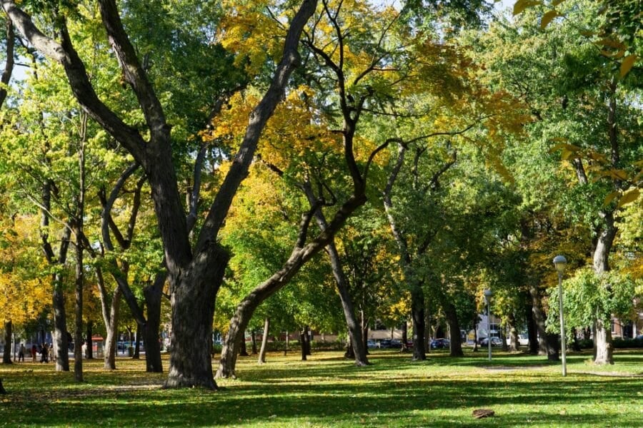 Climate Week Canada discussions aimed to reduce greenhouse gas (GHG) emissions by 2030.